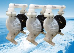 �Ϻ��궫�ӿ��������죬Ϊ��Ĥ�ò�ҵ��չ�������