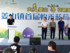 莱西：牛奶灌溉十一年未用农药的蓝莓在姜山镇开始采摘