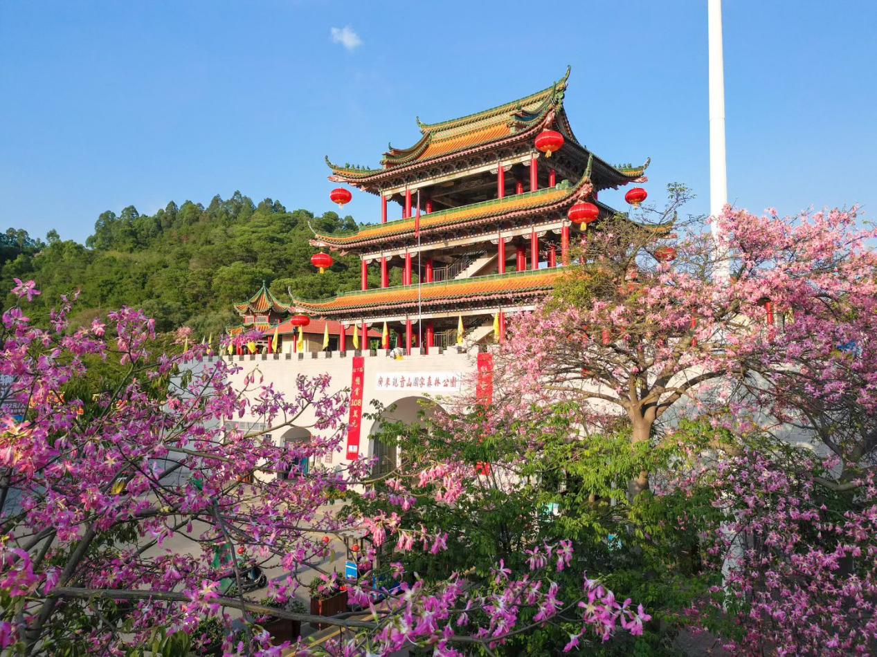 ��ɽ֮�ϵġ�����֮����--�㶫����ɽ����ɭ�ֹ�԰�¼�