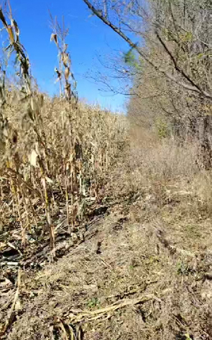 ���ɹ�ͨ����³��������ֳ����ҿ�����